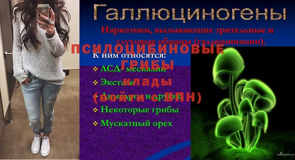 ECSTASY Балахна