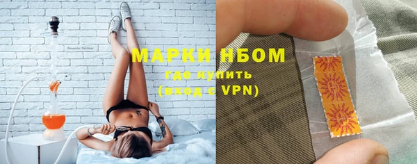 прущие грибы Баксан
