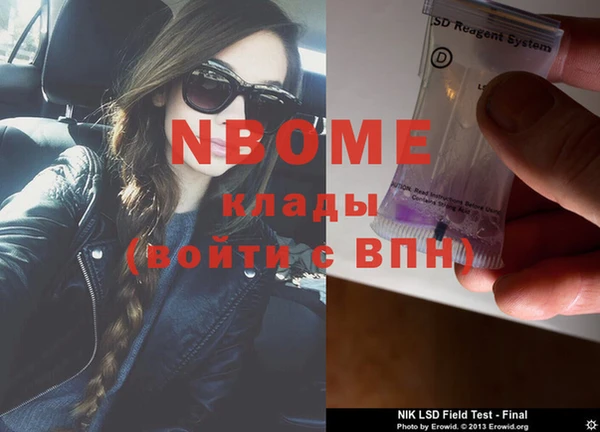 прущие грибы Баксан